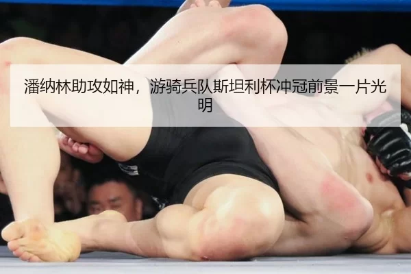 潘纳林助攻如神，游骑兵队斯坦利杯冲冠前景一片光明