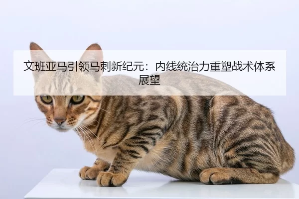 文班亚马引领马刺新纪元：内线统治力重塑战术体系展望