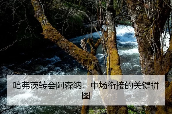 哈弗茨转会阿森纳：中场衔接的关键拼图