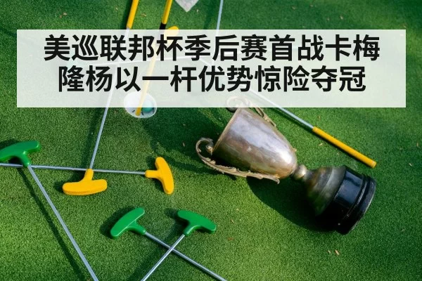 美巡联邦杯季后赛首战卡梅隆杨以一杆优势惊险夺冠